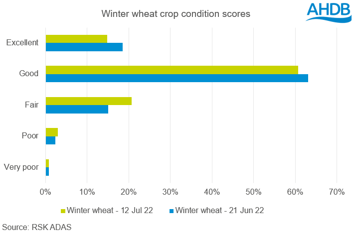 A graph showing the winter wheat crop condition scores as at 12 July 2022